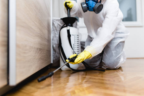 Trusted Pasadena, TX Pest Control Experts