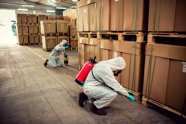 Best Termite Control Services  in Pasadena, TX