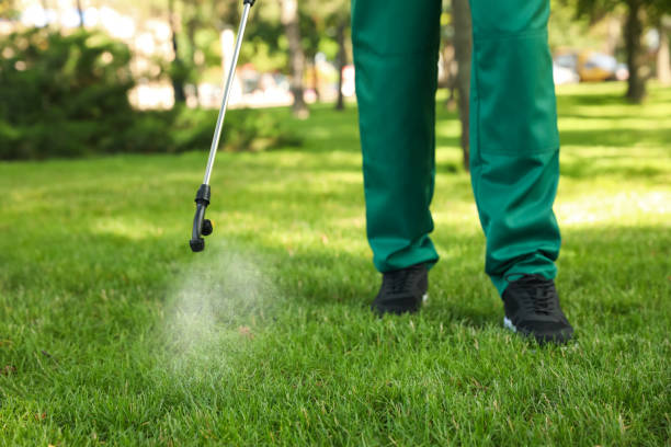 Best Flea Control Services  in Pasadena, TX