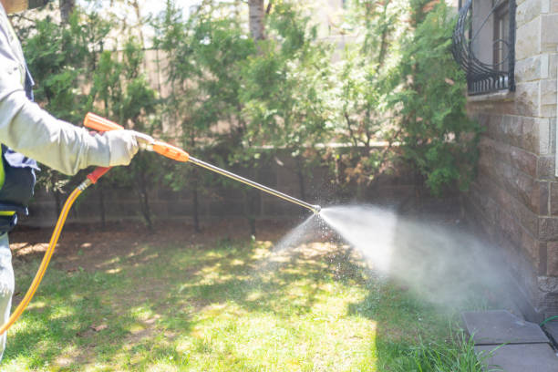 Best Exterminator Services  in Pasadena, TX