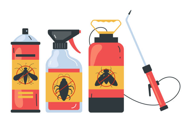 Best Affordable Pest Control Services  in Pasadena, TX