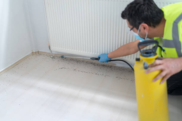 Best Emergency Pest Control  in Pasadena, TX