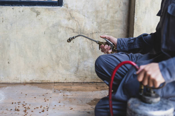 Best Pest Inspection Near Me  in Pasadena, TX